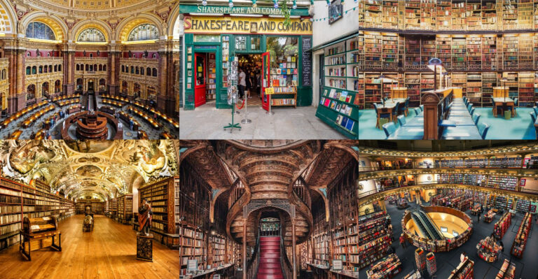 Must-Visit Destinations That Every Book Lover Will Adore