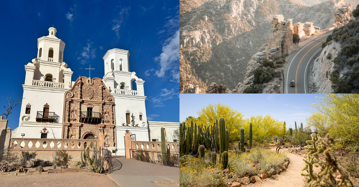 Reasons Tucson, Arizona Should Be on Your Bucket List