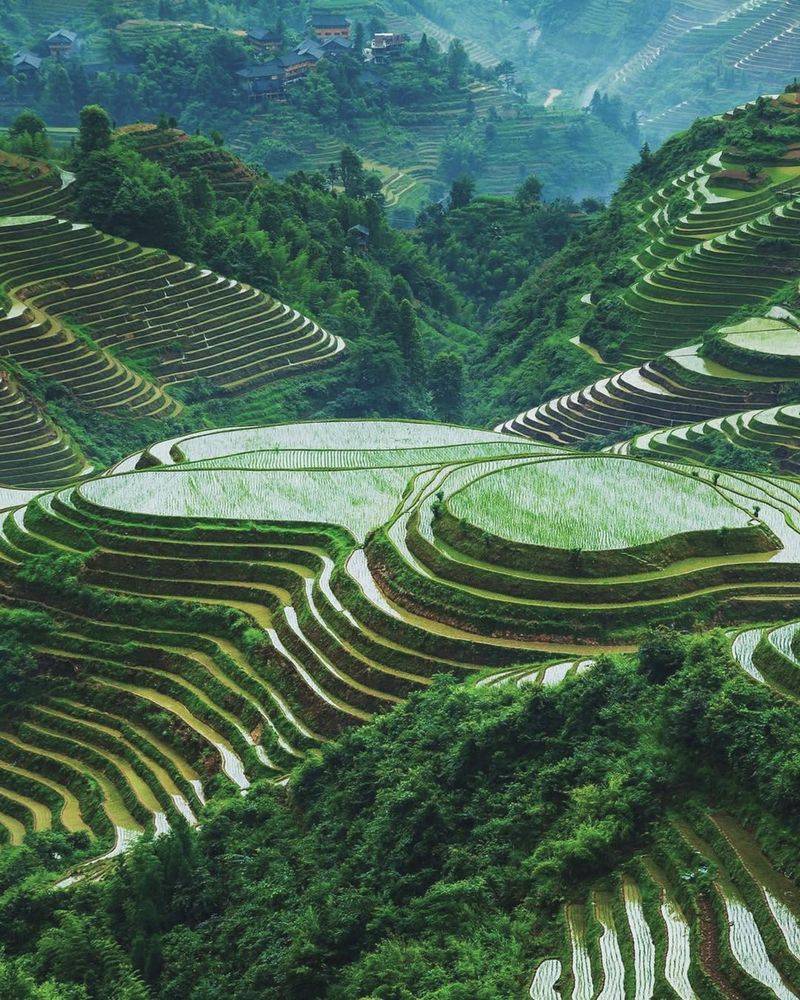 Banaue Rice Terraces, Philippines
