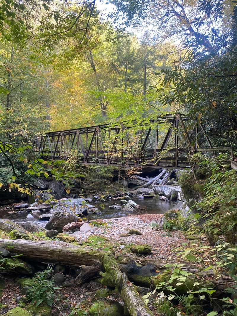 Benton MacKaye Trail, Georgia