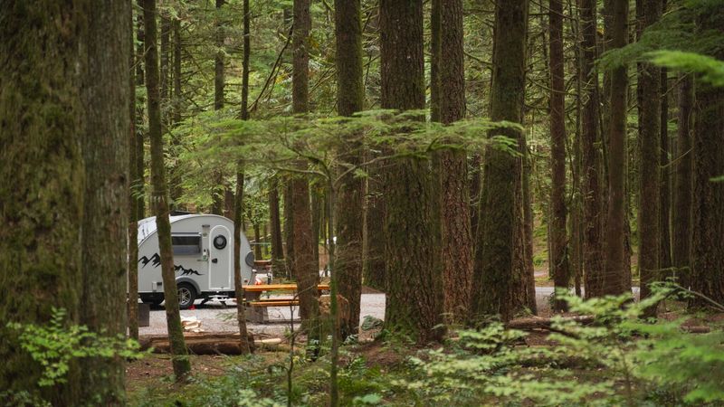 Camping Experience