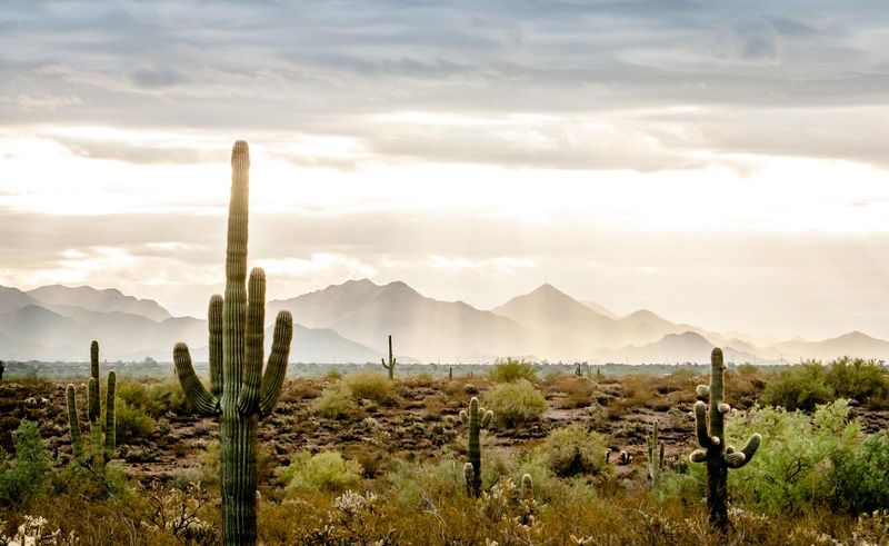Cave Creek