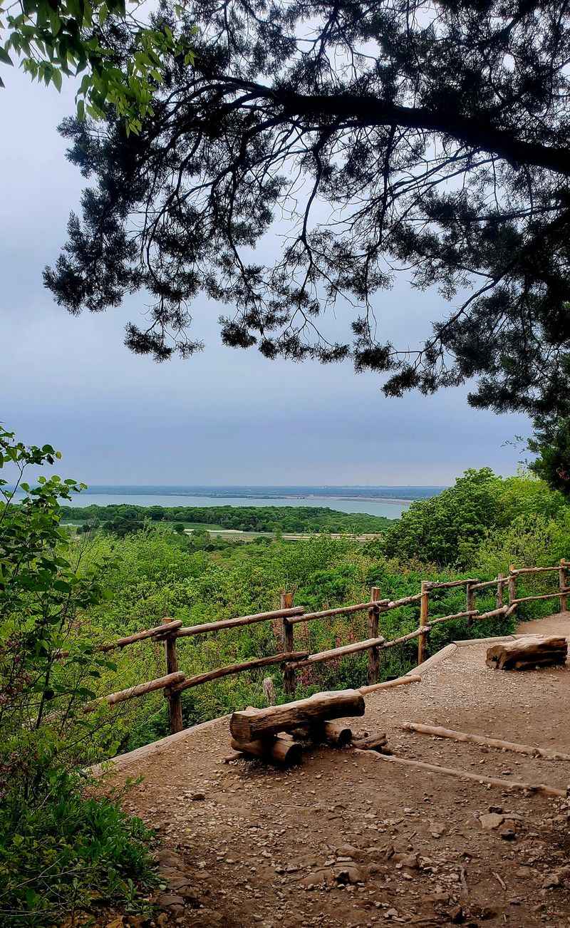 Cedar Ridge Preserve, Texas