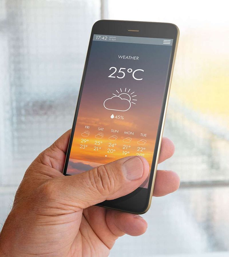 Check the Weather Forecast