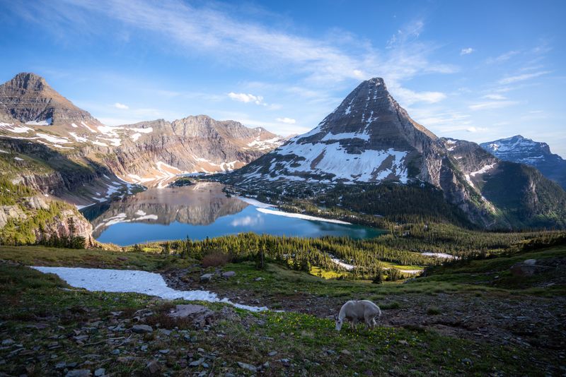 Hidden Lake Trail, Montana