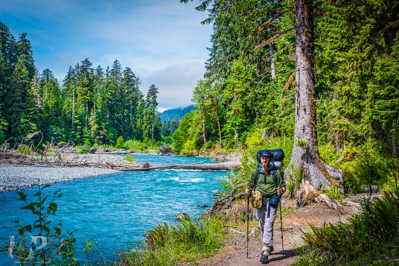 Hoh Rainforest Trail, Washington