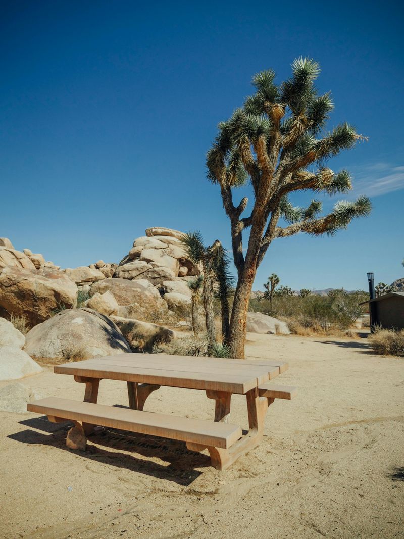 Joshua Tree National Park, California