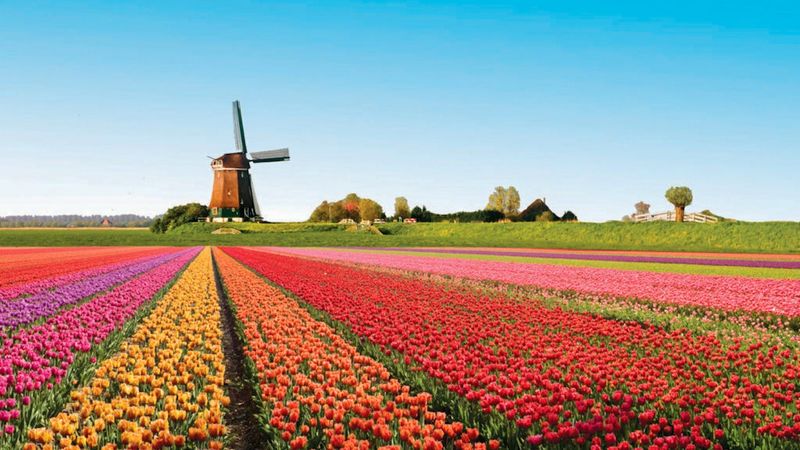 Keukenhof Gardens, Netherlands