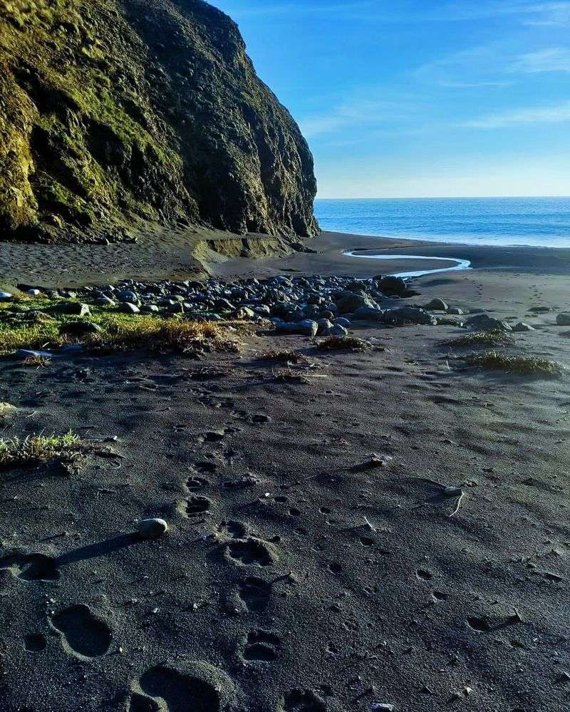 Lost Coast Trail, California