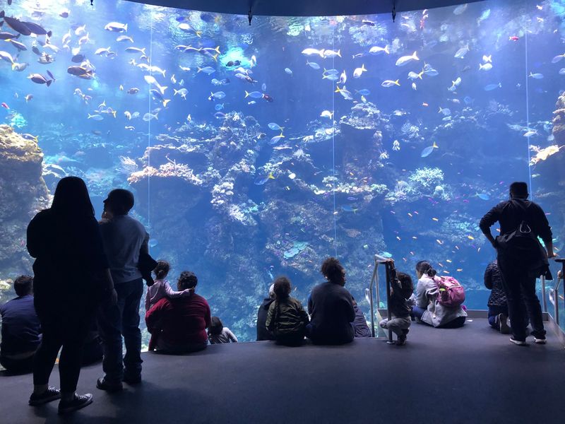 Monterey Bay Aquarium, California