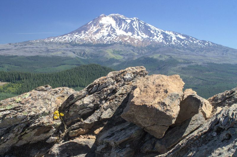 Mount Adams