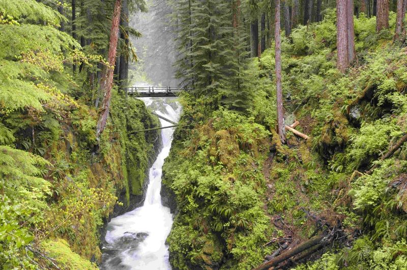 Olympic National Park, Washington
