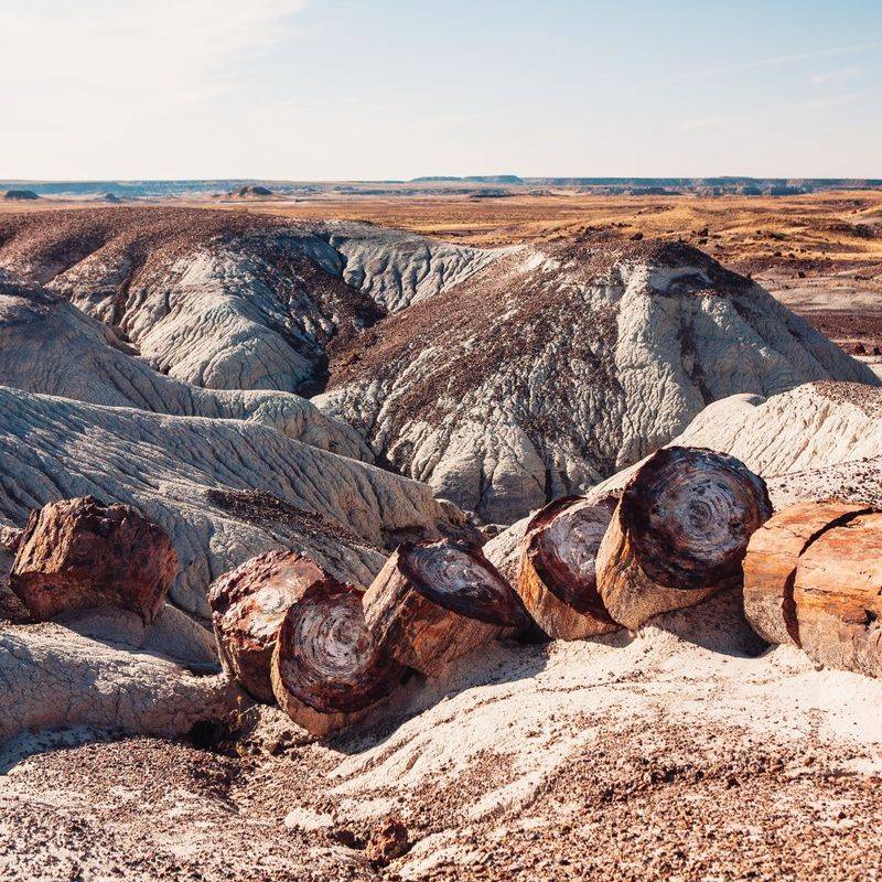 Petrified Forest National Park, Arizona