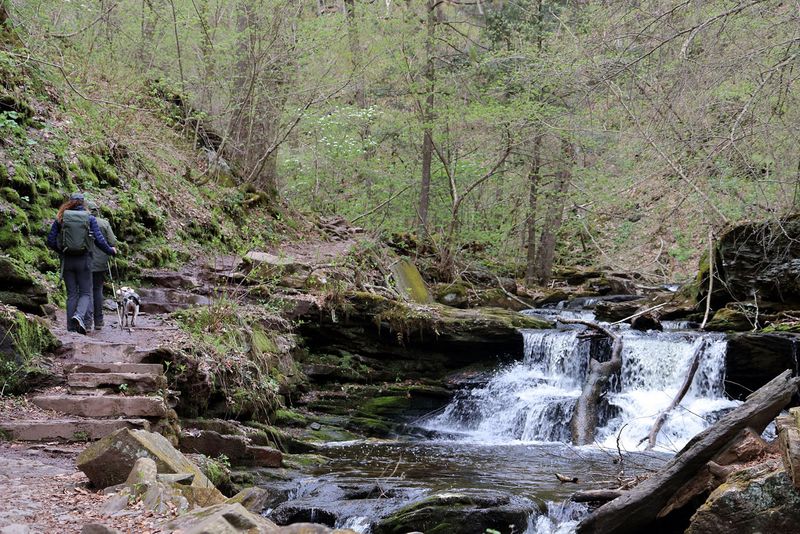 Ricketts Glen State Park, Pennsylvania