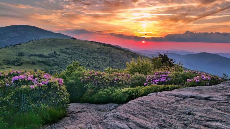 Roan Mountain, Tennessee/North Carolina