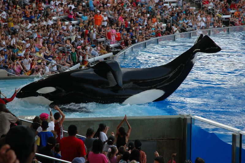 SeaWorld Orlando, Florida