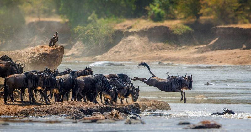 Serengeti National Park, Tanzania