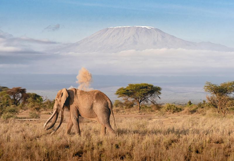 Serengeti National Park, Tanzania