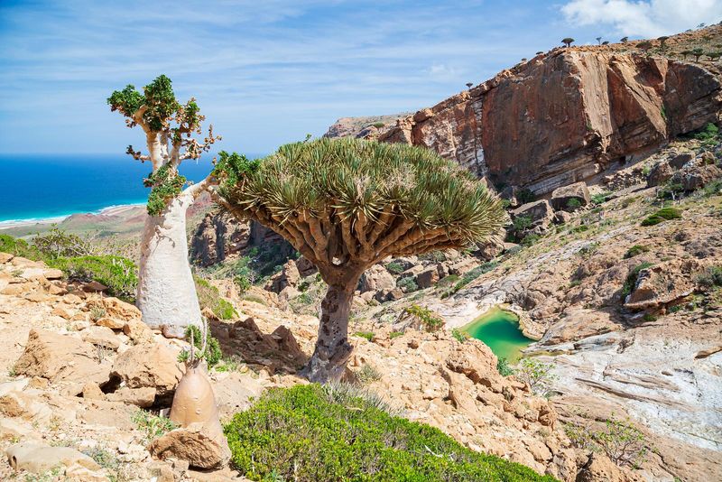 Socotra, Yemen