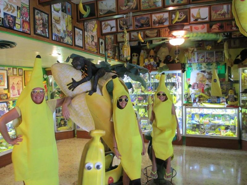 The International Banana Museum, California